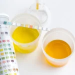 Equipos de Preparación y Análisis de Muestras en Republica Dominicana , Indtek, Equipos y maquinarias para laboratorios, industria farmaceutica, laboratorios farmaceuticos, equipos farmaceuticos, equipos de la industria farmaceutica, equipos en la industria farmaceutica, maquinaria farmaceutica, equipos industria farmaceutica, equipo farmaceutico, maquinaria industria farmaceutica, laboratorios farmaceuticos en guatemala, farmacéuticos y laboratorios, industria laboratorio, laboratorios farmaceuticos en panama, productos de la industria farmaceutica, industria farmacéutica productos, industrias farmaceuticas en panama, Industria alimentaria, Industria alimenticia, Tabletadora, Tabletlas, Encapsuladora, Capsulas, Blisteadora, Blíster, Mezclador V, Mezclador biconico, Granulador, Gránulos, Tamizador, Tamiz, Tanque acero inoxidable, Tanque proceso, Tanque produccion, Reactor, Biorreactor, Manguera sanitaria, Agitador, Incubadoras, Medidor de pH, Medidor conductividad, Medidor oxígeno disuelto, Medidor iones, Balanza, Cabinas y campanas de bioseguridad, Anatomía patológica, Espectrómetro, Medidor de turbidez, Electroforesis, Sistema de purificación de agua, Pipetas, Agitadores, Termocicladores PCR, Baños de agua, Enfriador de recirculación, Rotavapores, Limpiador ultrasonico, Analizadores, Lavadora de microplacas, Centrifugas, Refrigeradores y congeladores, Fabricador de hielo, Estufas, Fuente de alimentación, Liofilizadores, Digestor de microondas, Muflas, Tanques de nitrógeno, Grinder, Granulador, Mezclador, Tamizador, Encapsuladora, Tabletadora, Linea de gomitas, Linea de capsulas de gelatina, Deteccion de metales, Pulidora, Detección defectos, Encartonadora , Tapadora, Envasado de capsulas y tabletas, Blisteadora, Llenadora de líquidos y cremas, Empacado de polvos y gránulos, Selladora tubos, Sellado en banda, Tunel empacado retractil, Impresora codigos, Transporte de material, Reciclaje de material, Bomba Peristáltica, Bomba Centrífugas, Bomba Lobular, Bomba Doble diafragma, Bomba para bidones 200 L, Bomba centrifuga sanitaria, Bomba sanitaria, Mineria, Dosificacion, mina, bebidas, cerveza, cerveceria, lacteos, industria Lactea, Cervezeria artesanal, Detector de Metales